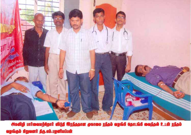 kavimalar (6)